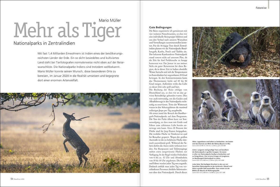 NaturFoto 4/2021 - Bild 7
