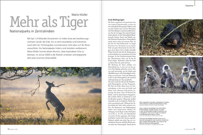 NaturFoto 4/2021 - Bild 7