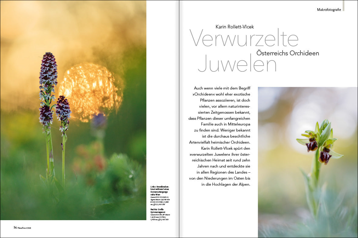 NaturFoto 3/2021 - Bild 3