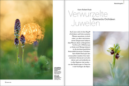 NaturFoto 3/2021 - Bild 3