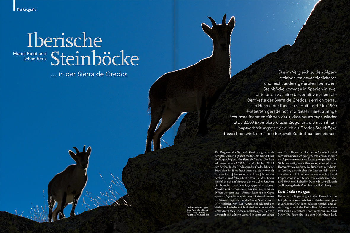 NaturFoto 1/2022 - Bild 2