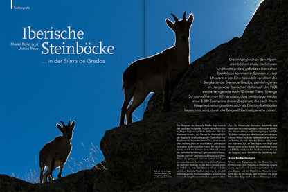NaturFoto 1/2022 - Bild 2