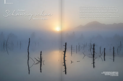 NaturFoto 11/2021 - Bild 2