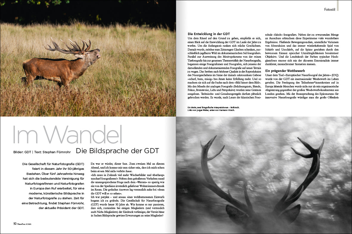 NaturFoto 11/2021 - Bild 5