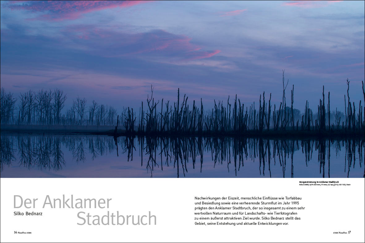 NaturFoto 2/2021 - Bild 5