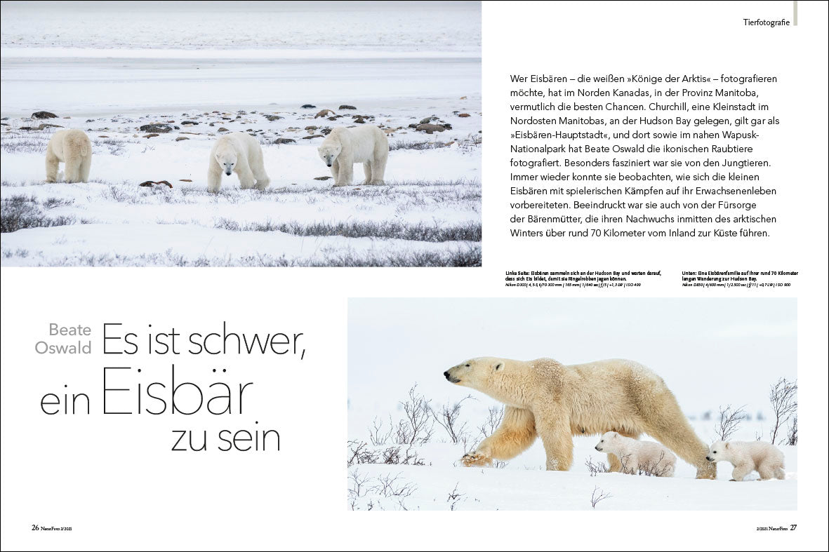 NaturFoto 2/2021 - Bild 4