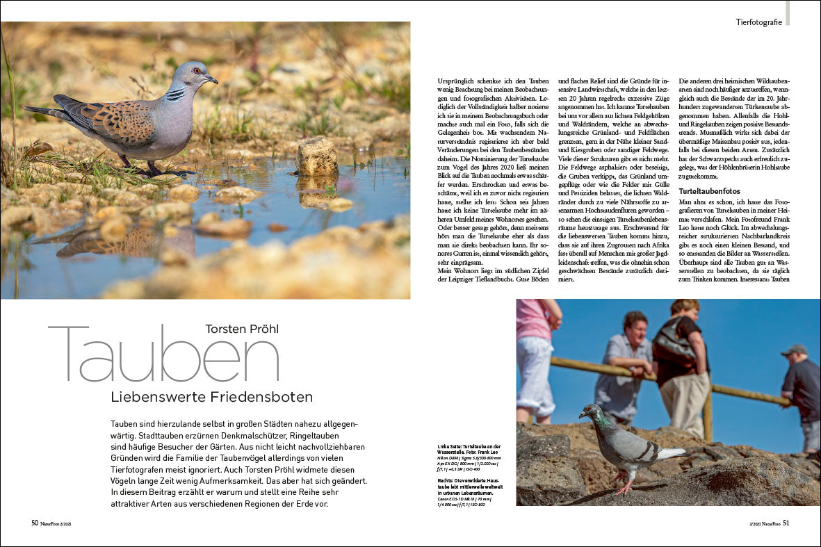 NaturFoto 2/2021 - Bild 8