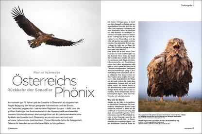 NaturFoto 2/2021 - Bild 2