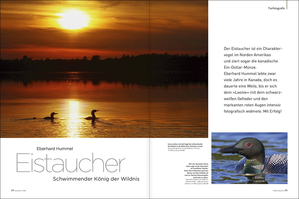 NaturFoto 7/2021 - Bild 6