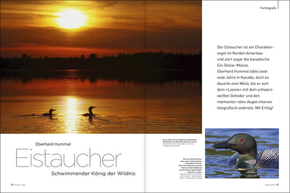 NaturFoto 7/2021 - Bild 6