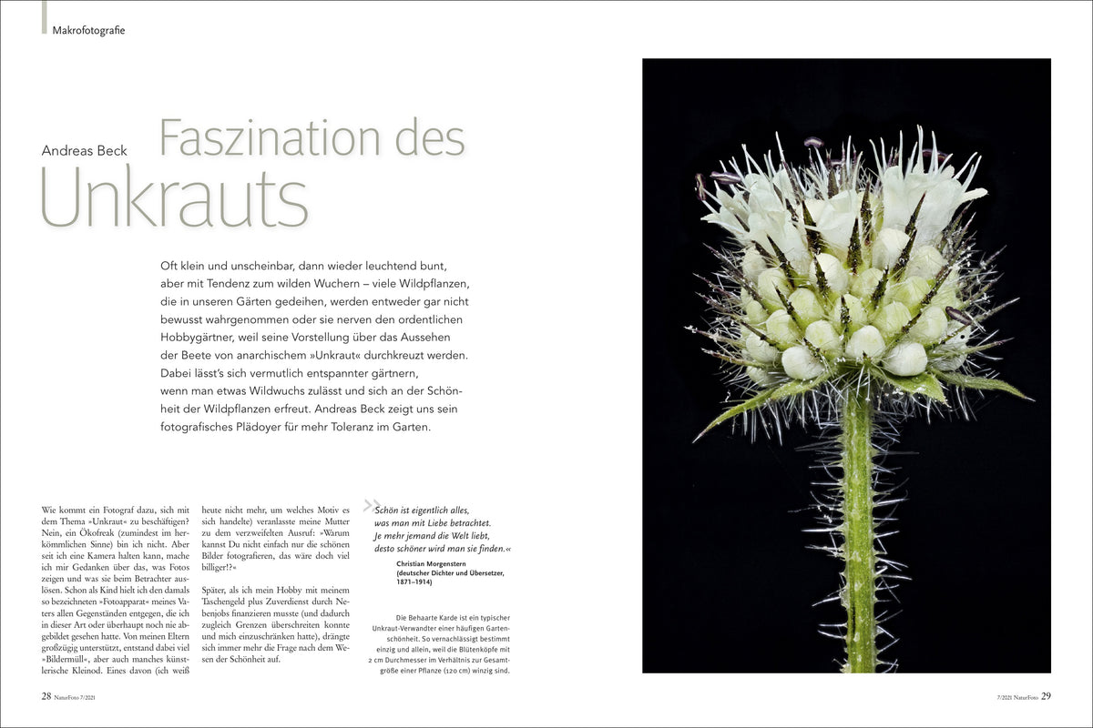 NaturFoto 7/2021 - Bild 7
