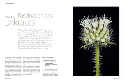 NaturFoto 7/2021 - Bild 7