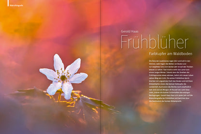 NaturFoto 3/2022 - Bild 3