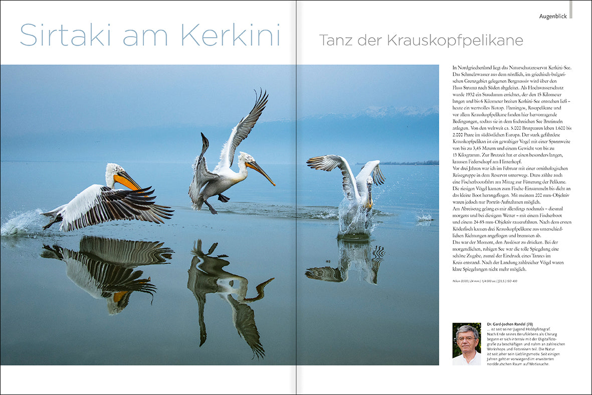 NaturFoto 6/2022 - Bild 2