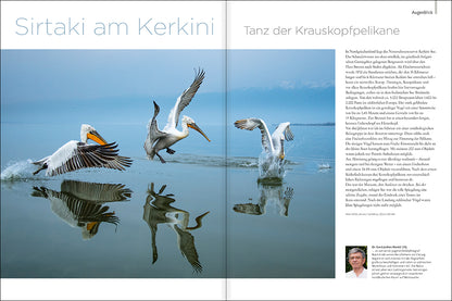 NaturFoto 6/2022 - Bild 2