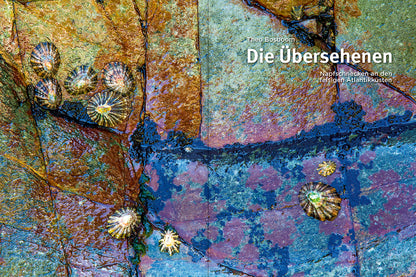 NaturFoto 6/2022 - Bild 3