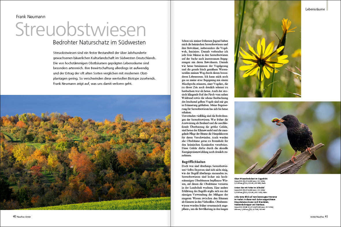 NaturFoto 10/2022 - Bild 4