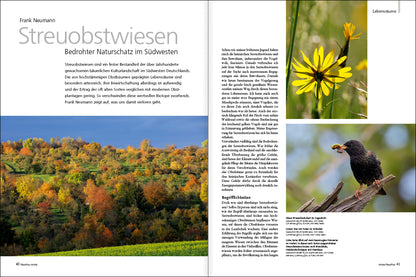 NaturFoto 10/2022 - Bild 4