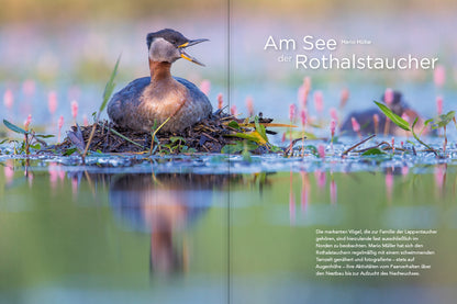 NaturFoto 3/2022 - Bild 4