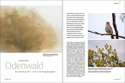 NaturFoto 4/2022 - Bild 2