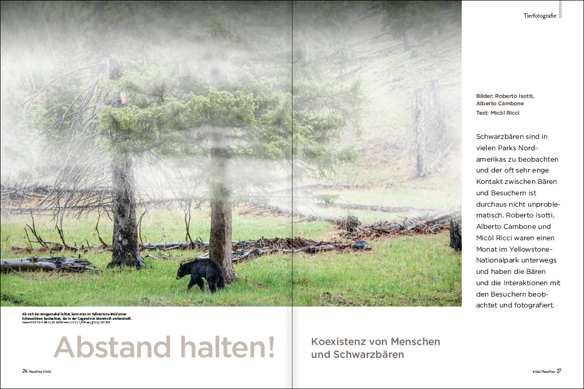 NaturFoto 4/2022 - Bild 3
