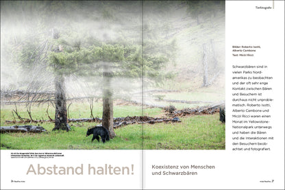 NaturFoto 4/2022 - Bild 3