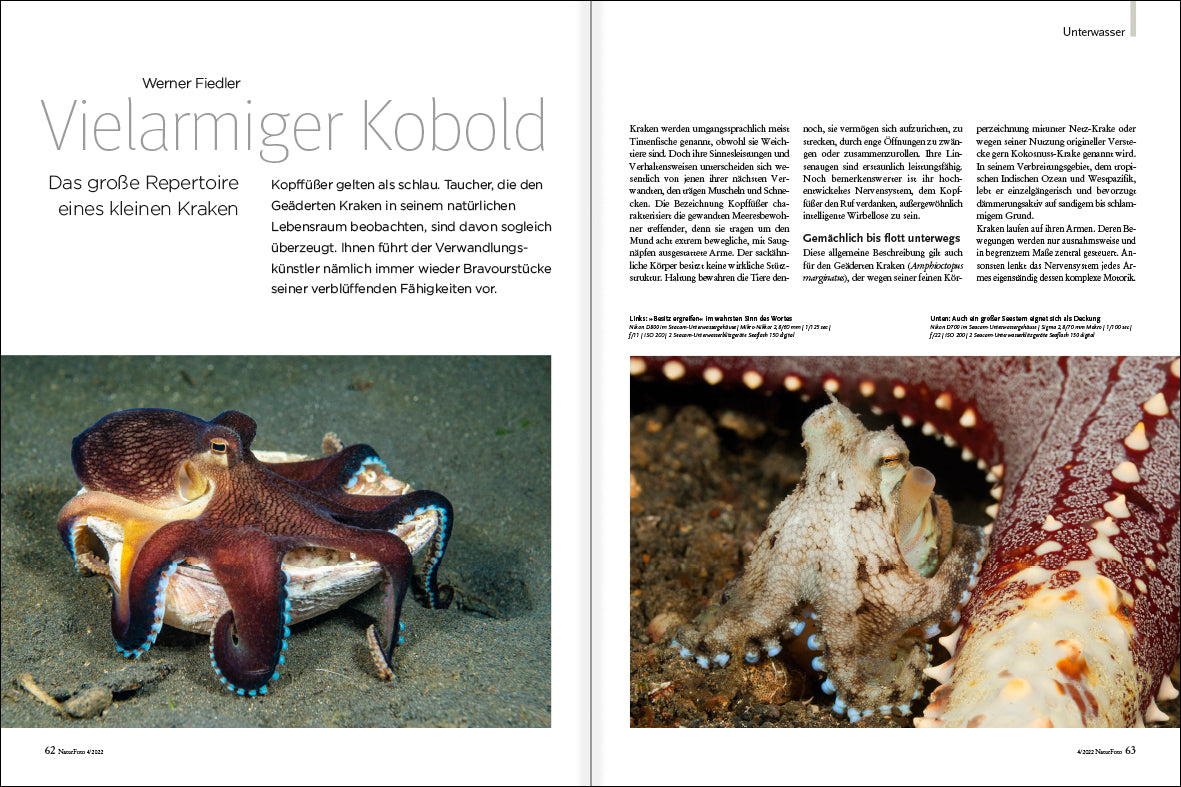 NaturFoto 4/2022 - Bild 7