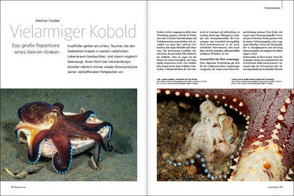 NaturFoto 4/2022 - Bild 7