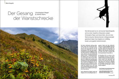 NaturFoto 7/2022 - Bild 7