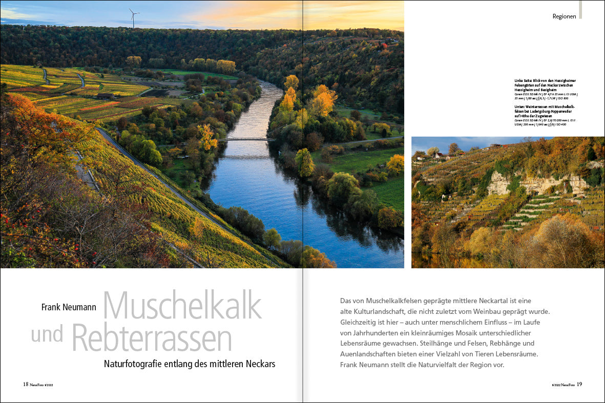 NaturFoto 8/2022 - Bild 2