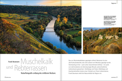 NaturFoto 8/2022 - Bild 2