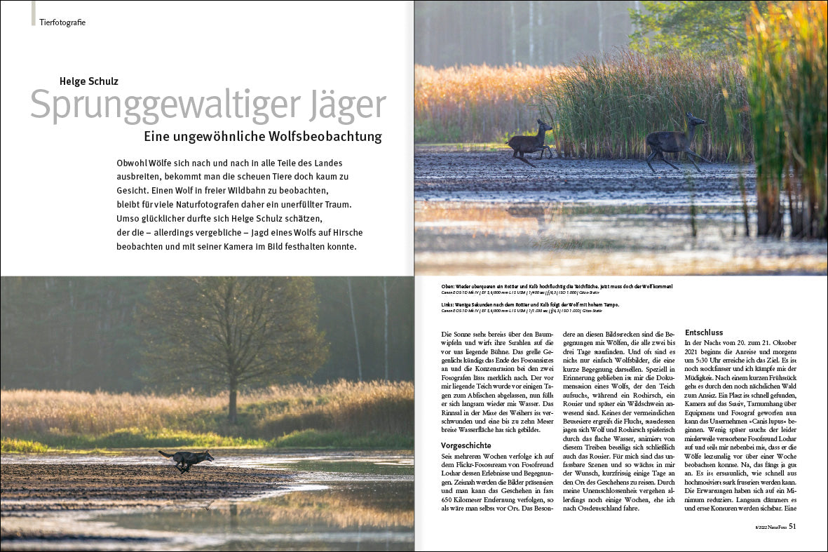 NaturFoto 8/2022 - Bild 7