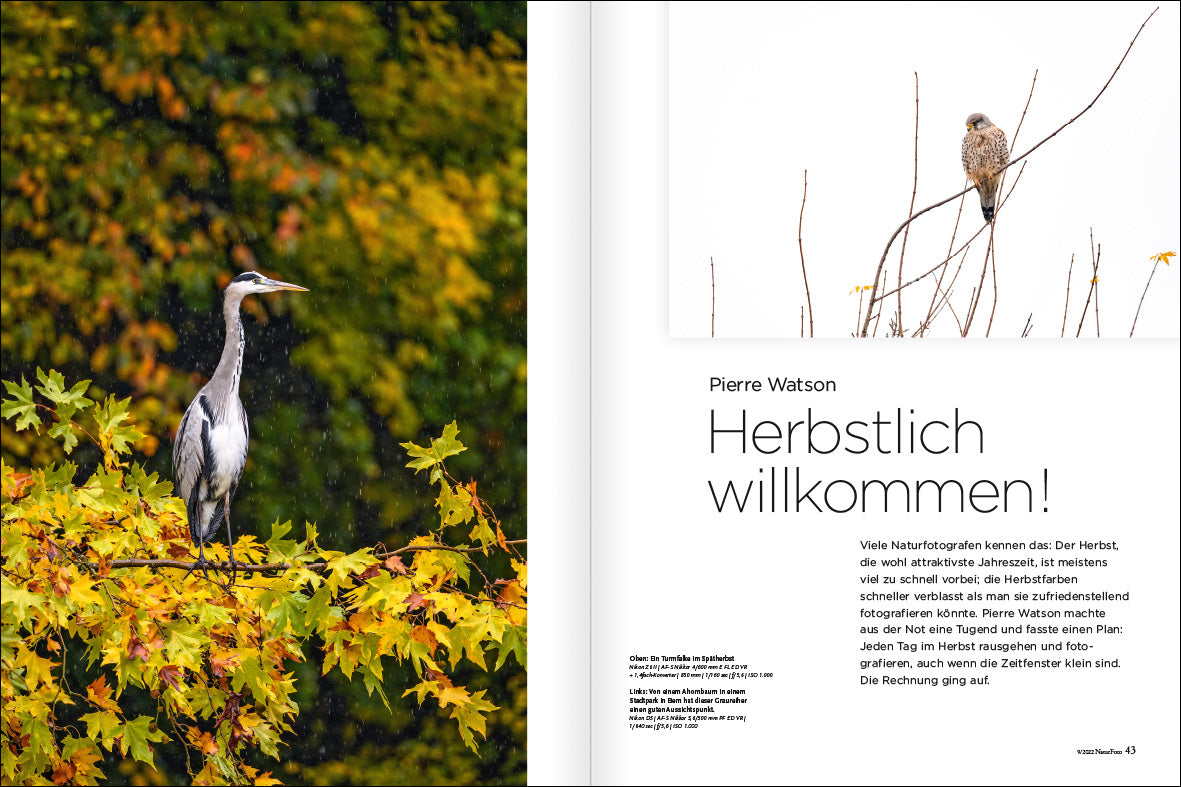 NaturFoto 9/2022 - Bild 5