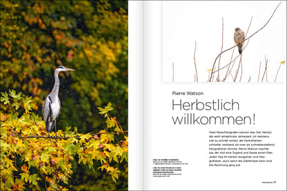 NaturFoto 9/2022 - Bild 5