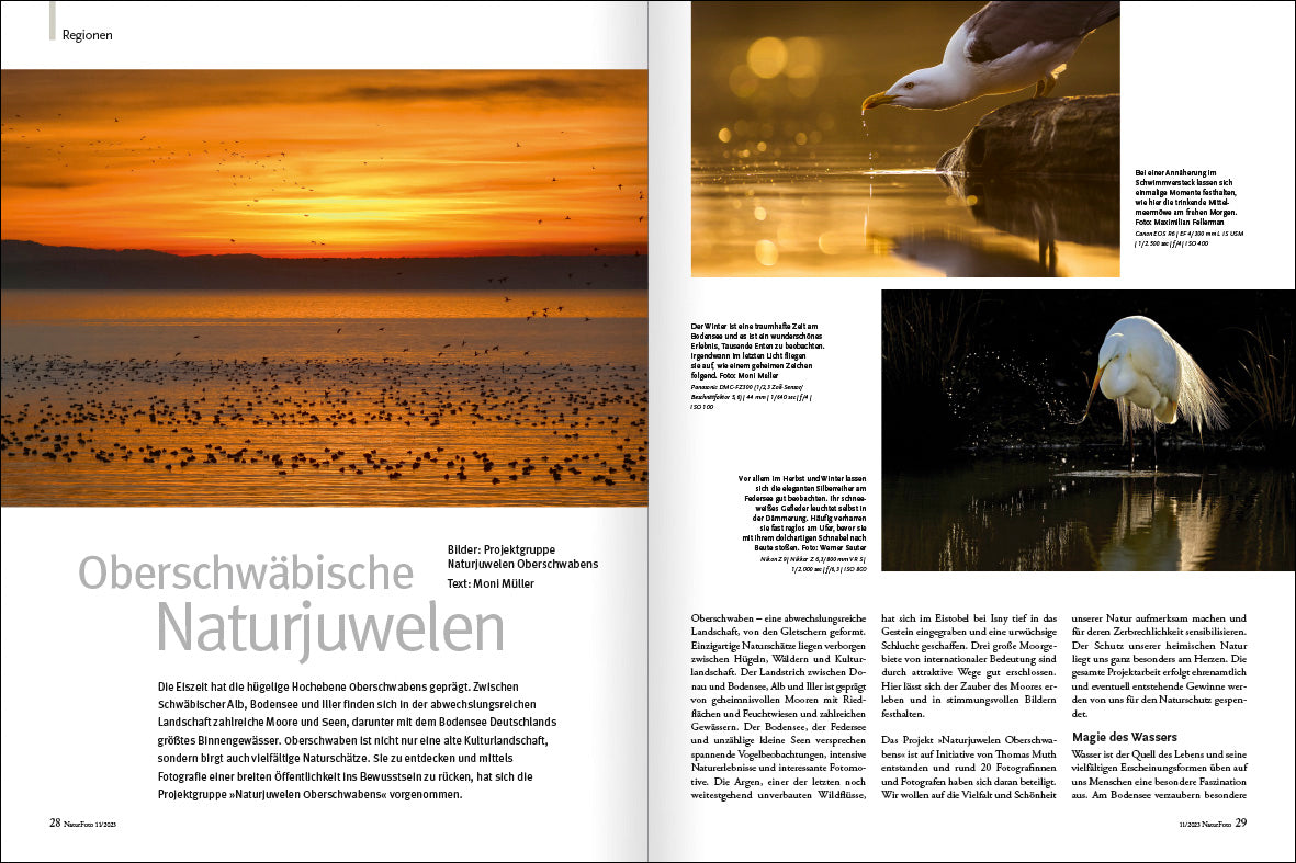 NaturFoto 11/2023 - Bild 4