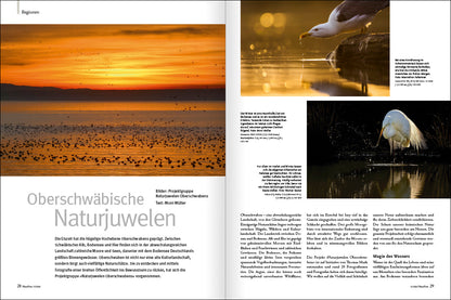 NaturFoto 11/2023 - Bild 4