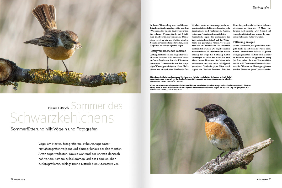 NaturFoto 6/2023 - Bild 8