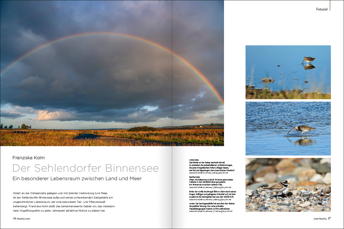 NaturFoto 6/2023 - Bild 6