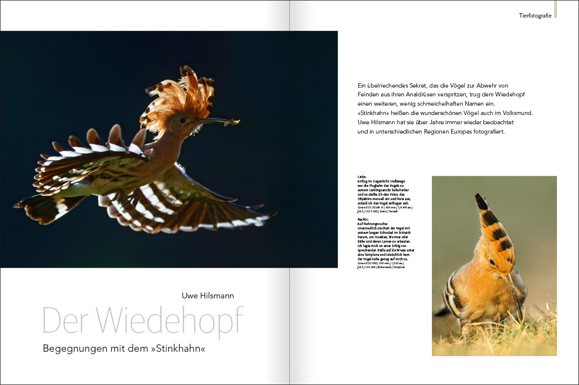 NaturFoto 6/2023 - Bild 3