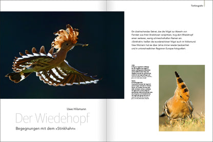 NaturFoto 6/2023 - Bild 3