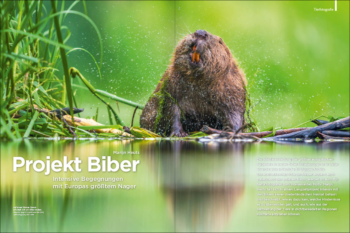 NaturFoto 3/2024 - Bild 2