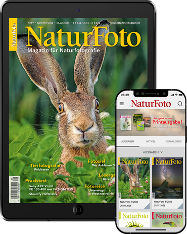 NaturFoto (Abonnement)