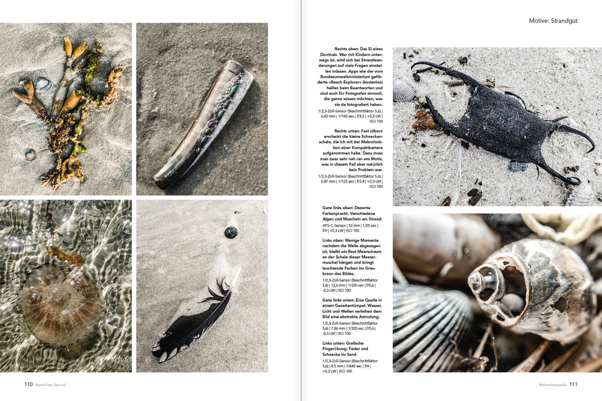 Makrofotografie (NEU 2019) - Bild 4