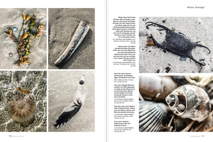 Makrofotografie (NEU 2019) - Bild 4