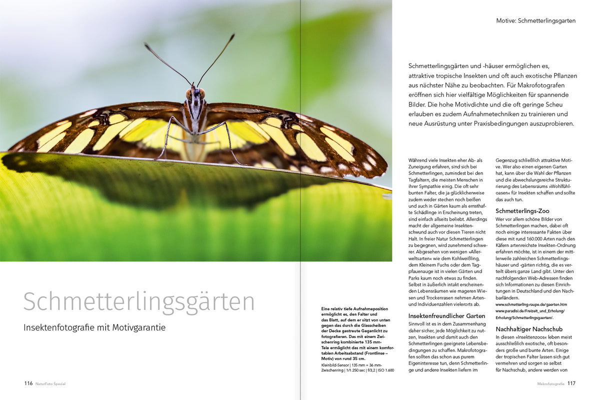 Makrofotografie (NEU 2019) - Bild 3