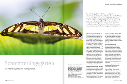 Makrofotografie (NEU 2019) - Bild 3