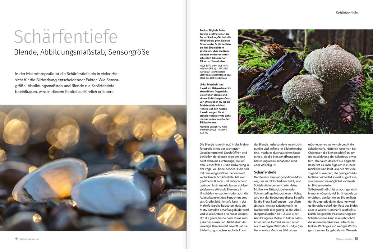 Makrofotografie (NEU 2019) - Bild 6