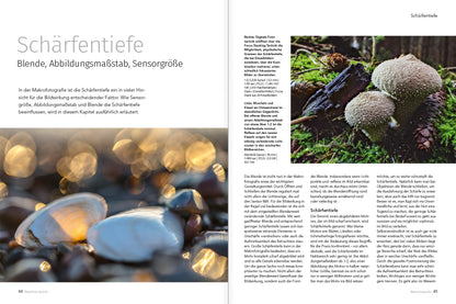 Makrofotografie (NEU 2019) - Bild 6