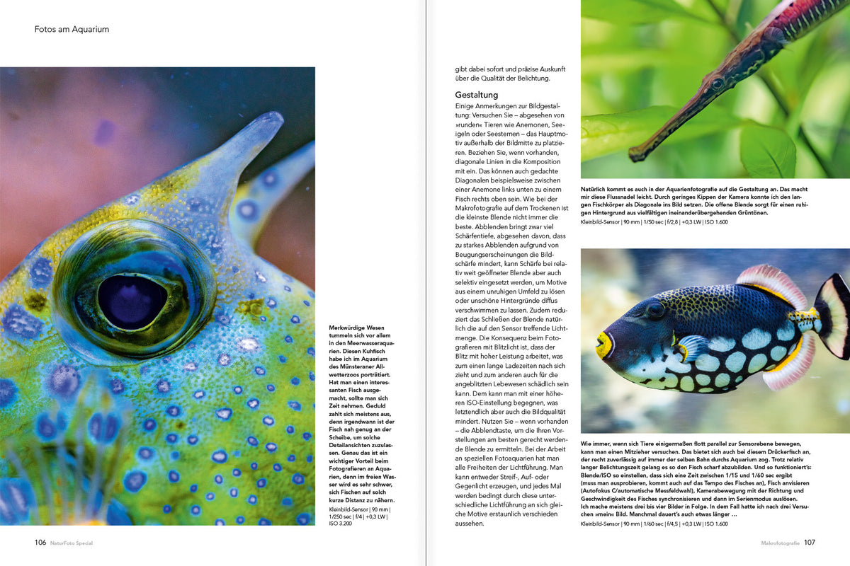 Makrofotografie (NEU 2019) - Bild 5