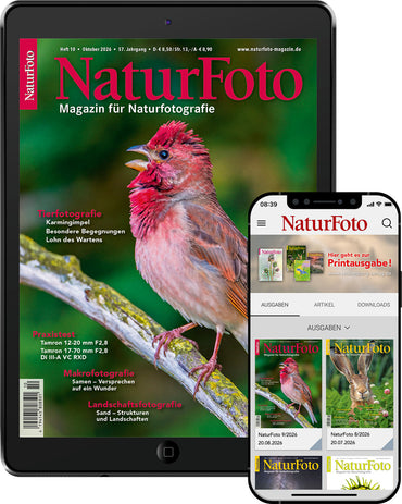 NaturFoto (Abonnement)